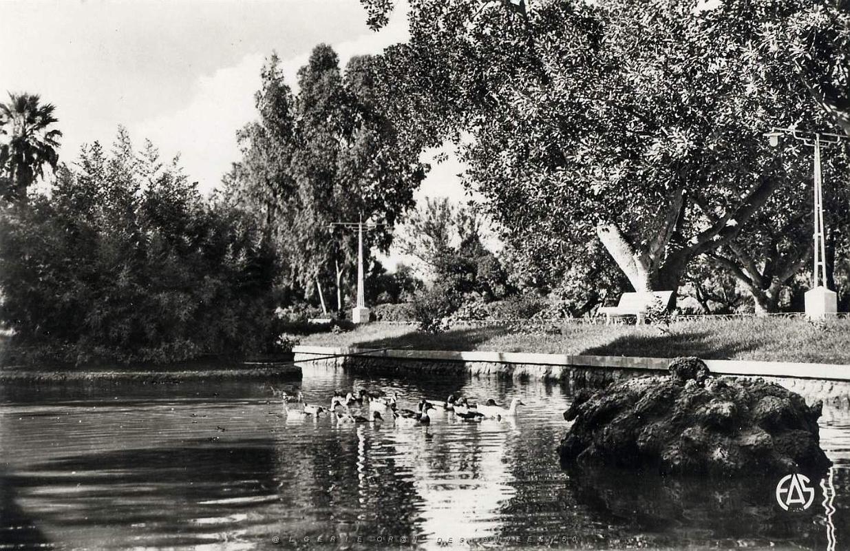 Saint Denis du Sig 501- Parc COLLECTION DES AMIS DE ND DE SANTA CRUZ.jpg